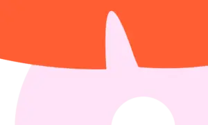 orange and pink shapes used as a visual asset